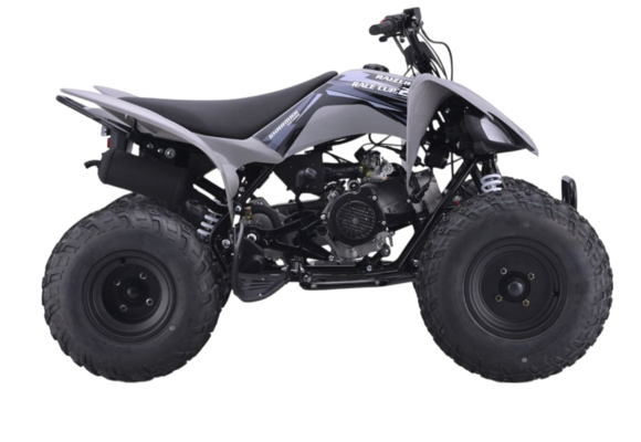 Квадроцикл Sharmax Raizer Race Cup 250 pitbikemarket.ru